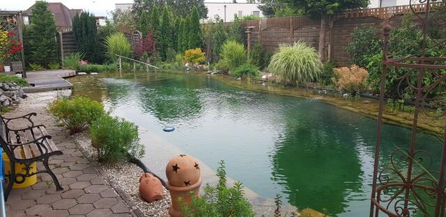 Gerhard Schindler | Foto: privat