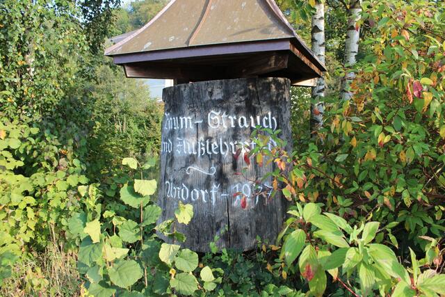 Entlang eines Teils des Baum- und Strauchlehrpfads neben der Pram in Andorf erfahren Wanderer anhand von aufgestellten Info-Tafeln viel Wissenswertes über die Pflanzen und Sträucher, die es entlang des Weges zu entdecken gilt. | Foto: TV Andorf