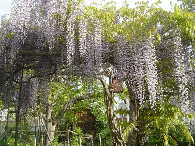 agnes thinschmidt | Foto: privat