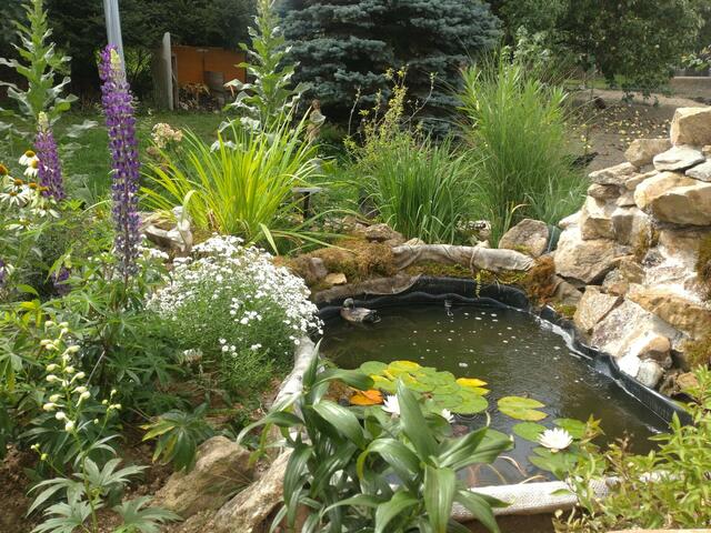 Familie Schmale  | Foto: privat