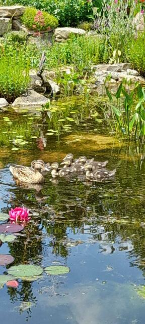 Kräftner Helga | Foto: privat