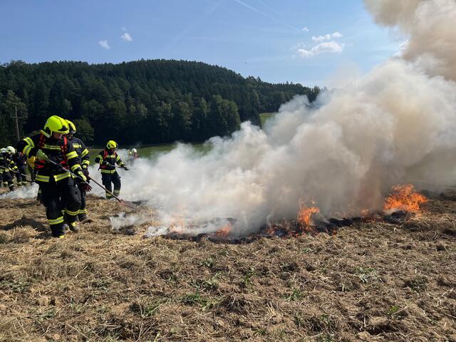 Foto: Georg Riernößl / AFKDO Pregarten