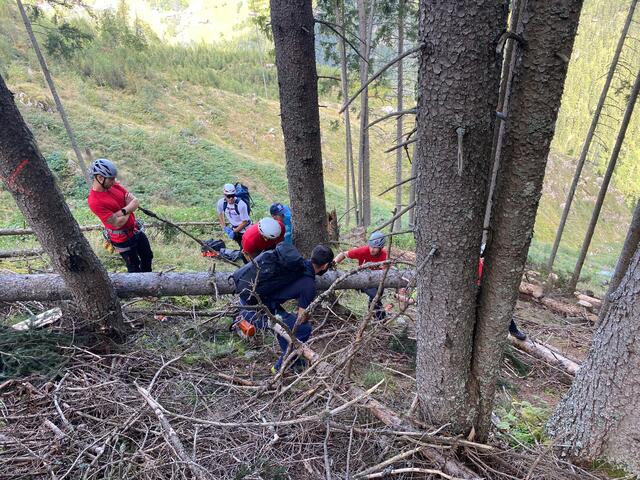 Im steilen Waldgelände in Brandberg kam es zu einem tödlichen Unfall.  | Foto: ZOOM-Tirol