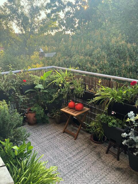 Doris Matzinger | Foto: privat