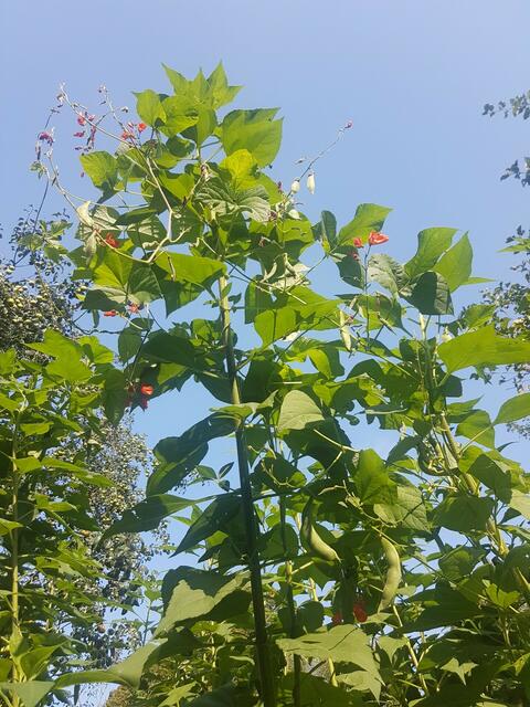 Elisabth Trimmel | Foto: privat