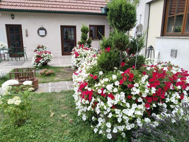  Annemarie Eberhardt | Foto: privat