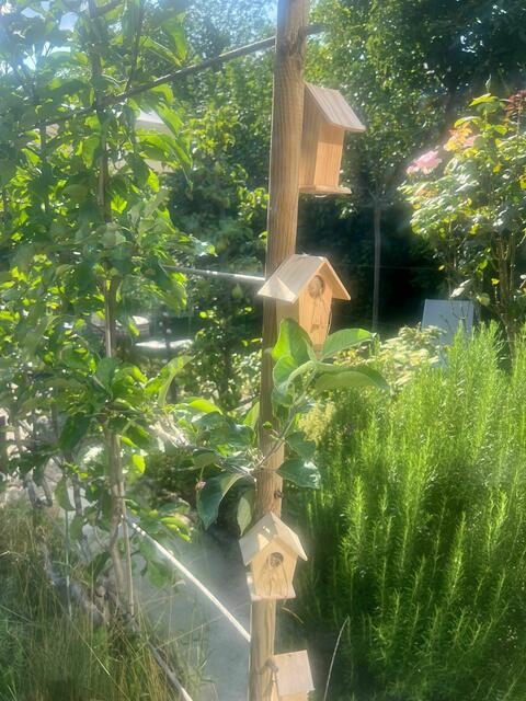 Sabine Schmid  | Foto: privat