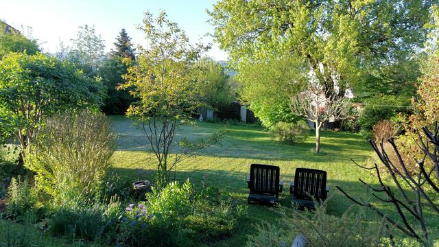 Silvia Gill | Foto: privat