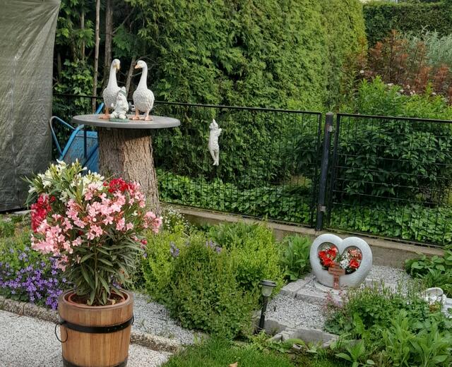 Friederike Erdösi | Foto: privat