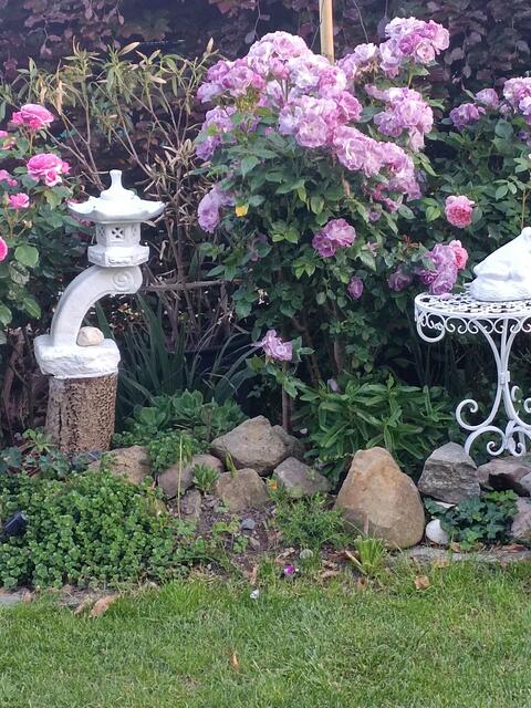 Elena Maringer | Foto: privat