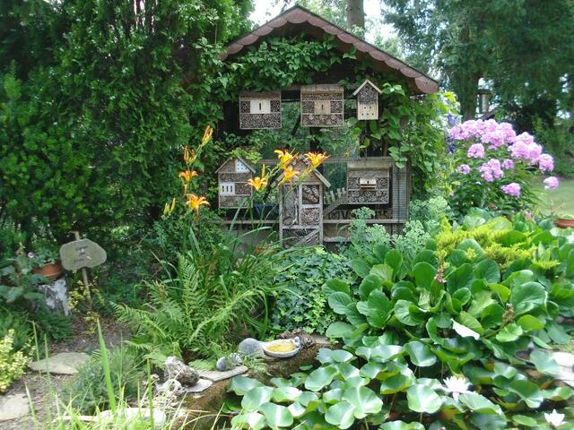 Rosa Steinböck | Foto: privat