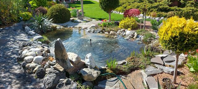 Gabriele Schrenk | Foto: privat