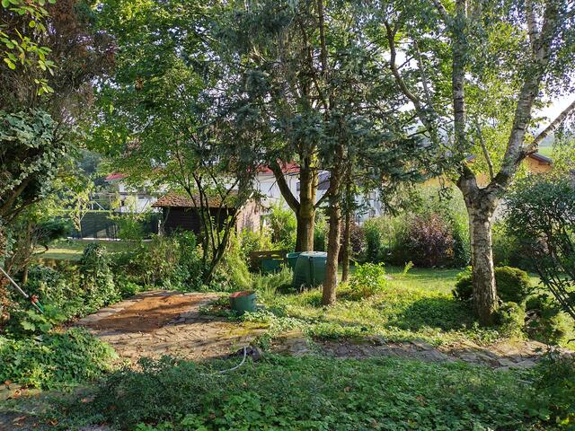 Aigner Monika | Foto: privat