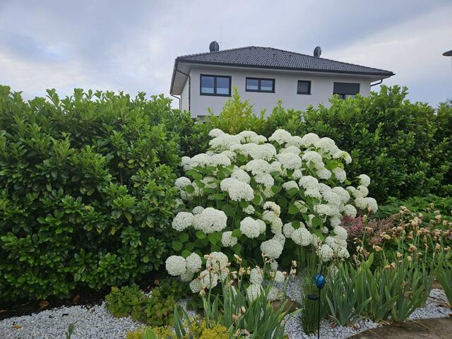 Silvia Klim | Foto: privat