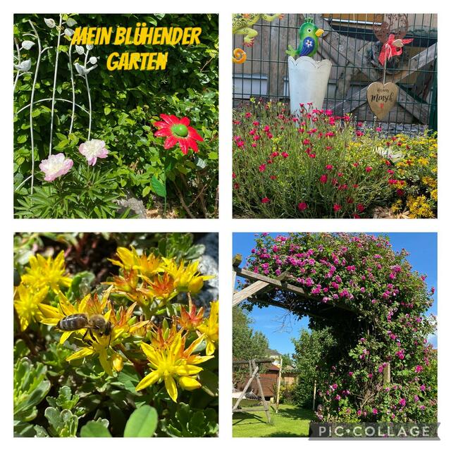 Pamela Riegler | Foto: privat