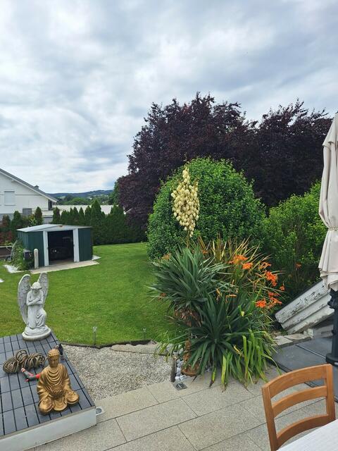 Friedrich und Bettin 