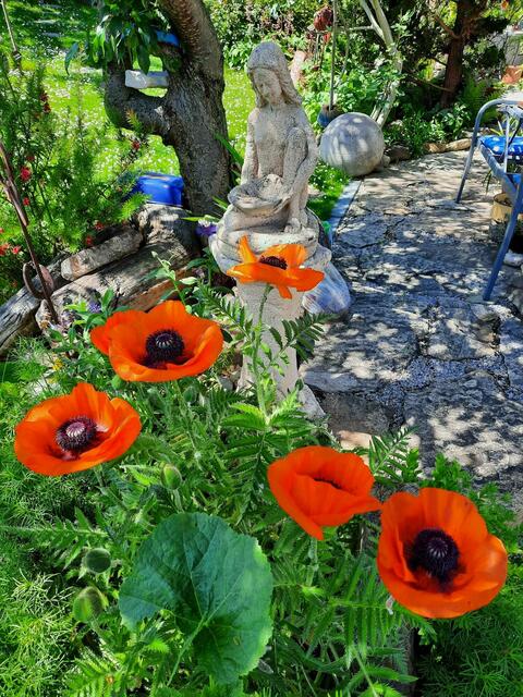 Helga und Erich WALDHERR