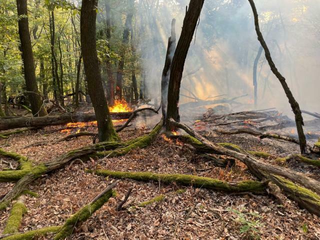 Foto: Pressedienst AFKDO Bruck/Leitha