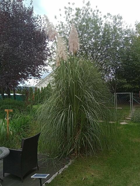 Friedrich und Bettin 