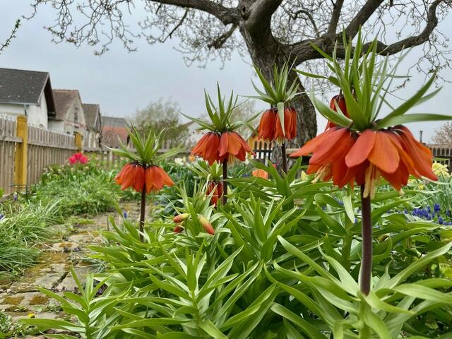 Bernd Dietel und Hildegard Kassel