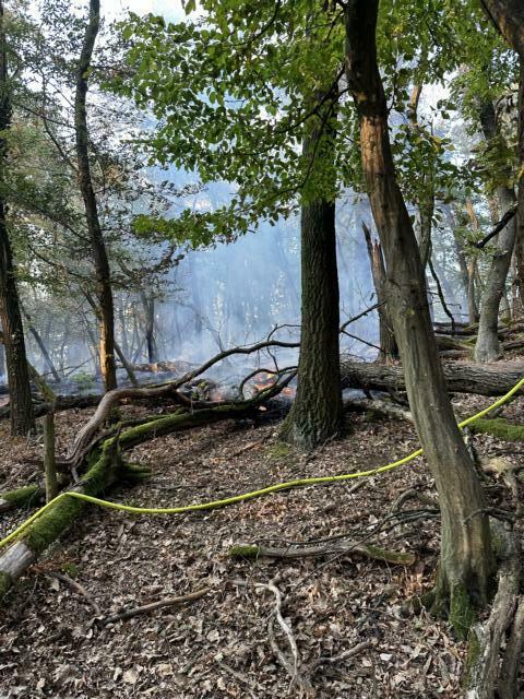 Foto: Pressedienst AFKDO Bruck/Leitha