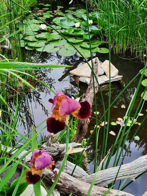 Helga und Erich WALDHERR