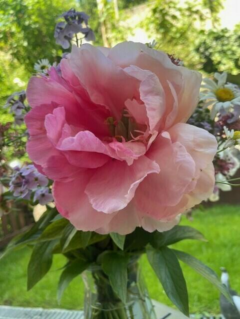 Helga u. Rudolf Mehofer