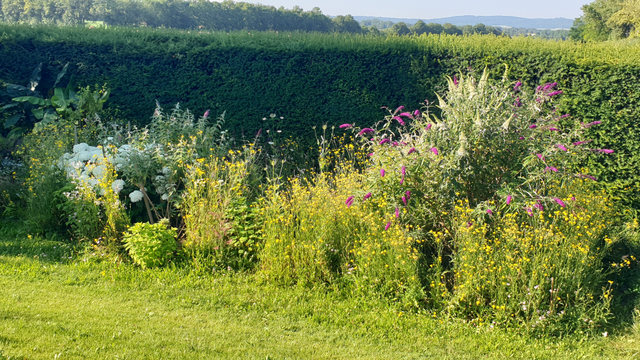 Renate und Franz Heinzl
