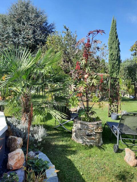 Helga und Erich WALDHERR