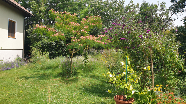 Renate und Franz Heinzl