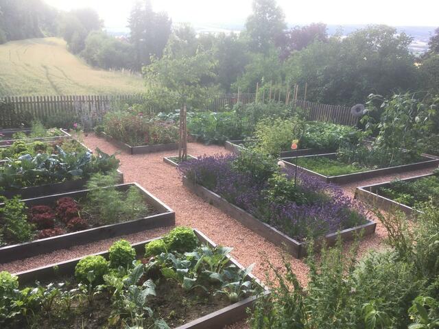 Gerlinde und Franz Linauer