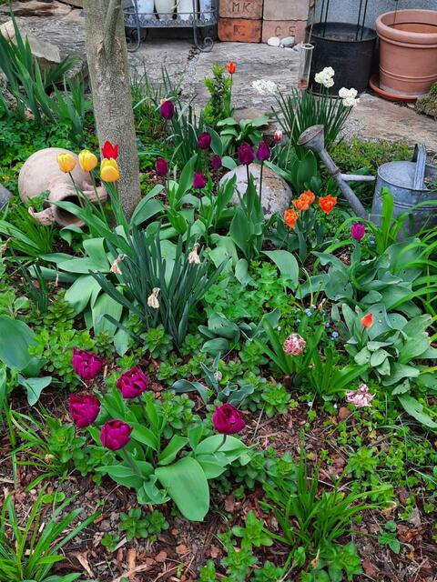 Helga und Erich WALDHERR