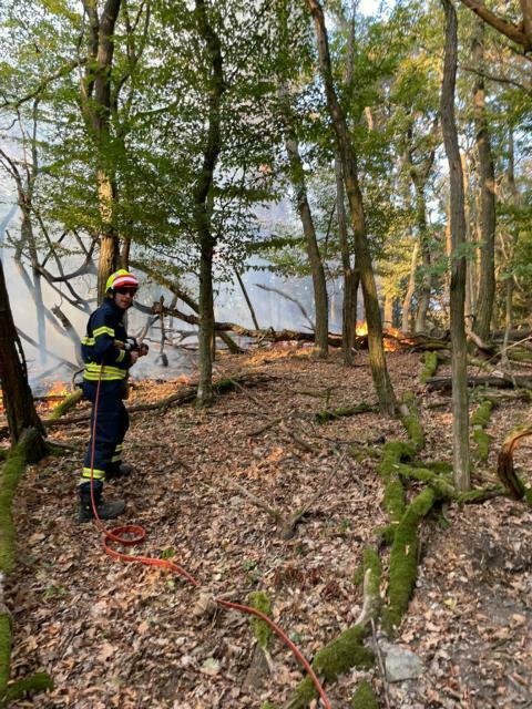 Foto: Pressedienst AFKDO Bruck/Leitha