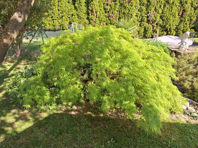 Friedrich und Bettin 