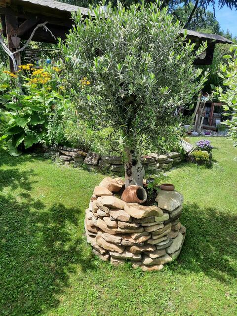 Helga und Erich WALDHERR