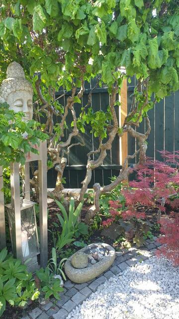 Uschi und Herbert Weber