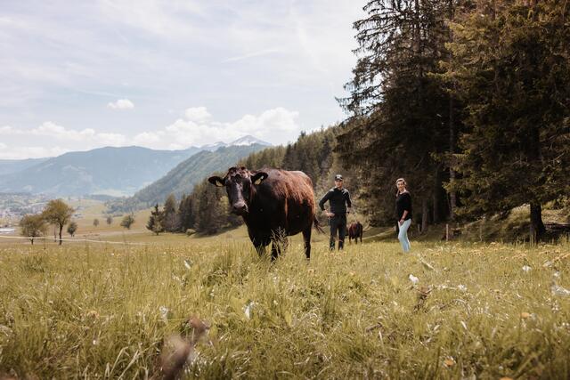 Wagyu-Rinder sind für ihre zarte Fleischqualität bekannt. | Foto: Wagyu-Ennstal