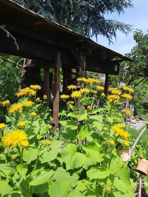 Helga und Erich WALDHERR