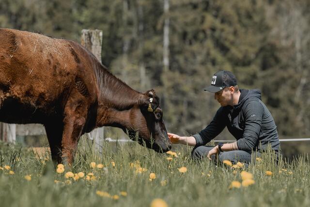Foto: Wagyu-Ennstal