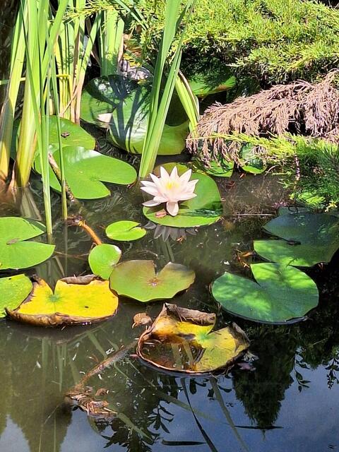 Friedrich und Bettin 