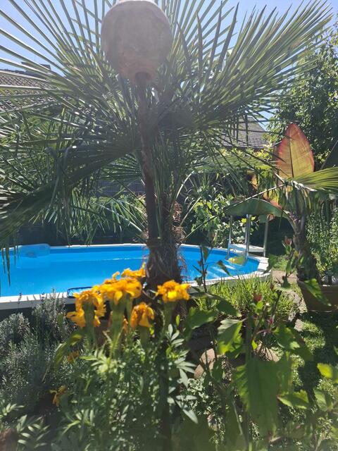 Helga und Erich WALDHERR