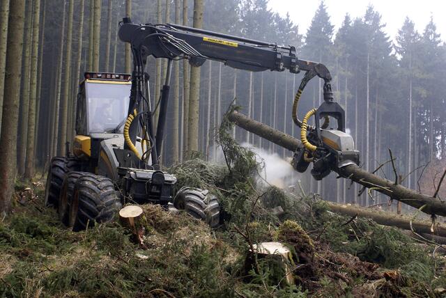 Zwei Forstmaschinen wurden stark beschädigt. (Symbolfoto) | Foto: stock.adobe.com/at/Johanna Mühlbauer