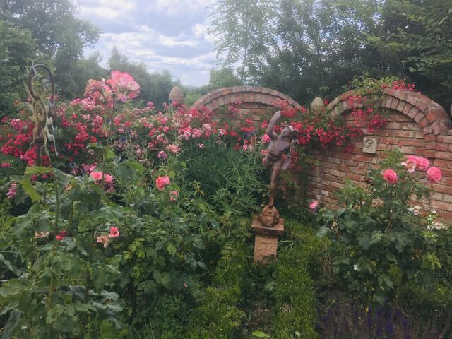 Gerlinde und Franz Linauer