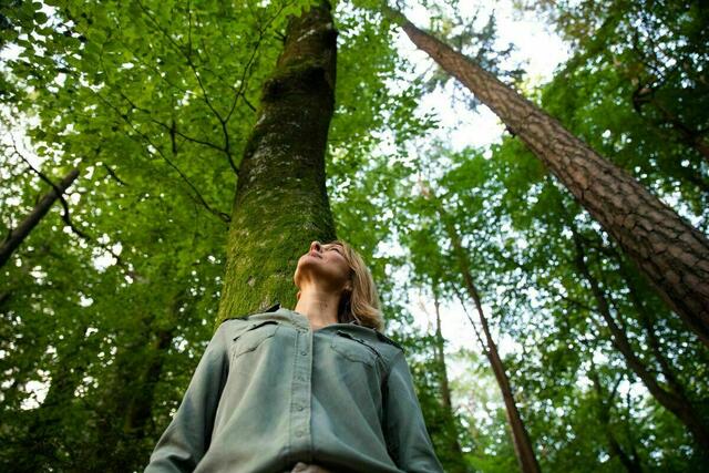 Die steirischen Wälder sind Erholungsgebiet, CO2-Speicher und Wirtschaftsmotor zugleich. Der Erhalt ist von großer Bedeutung – und dafür wird viel getan. | Foto: Grünkraft Steiermark