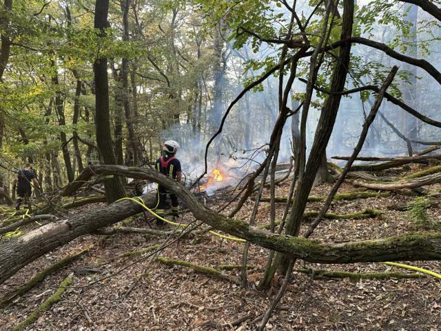 Foto: Pressedienst AFKDO Bruck/Leitha