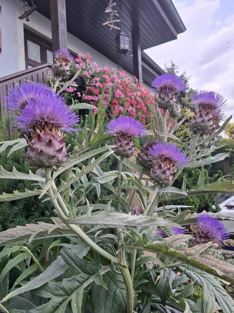 Helga und Erich WALDHERR