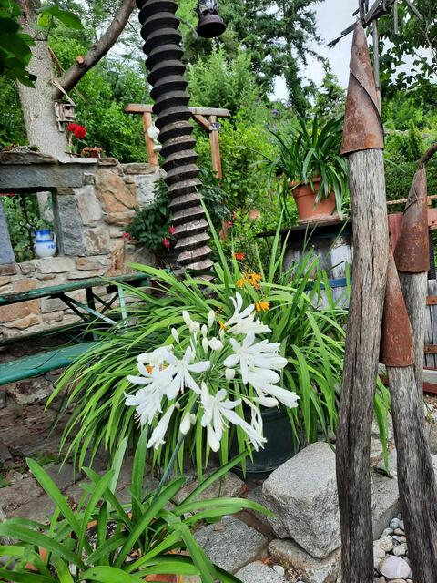 Helga und Erich WALDHERR