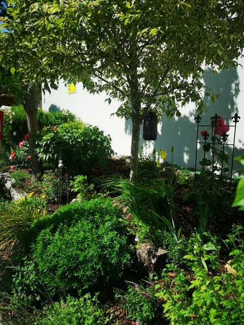 Doris Steiner-Bochdansky 