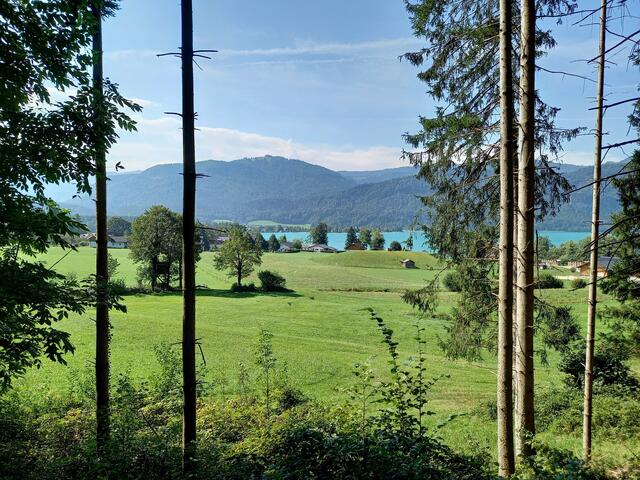 Foto: H.Bachinger 