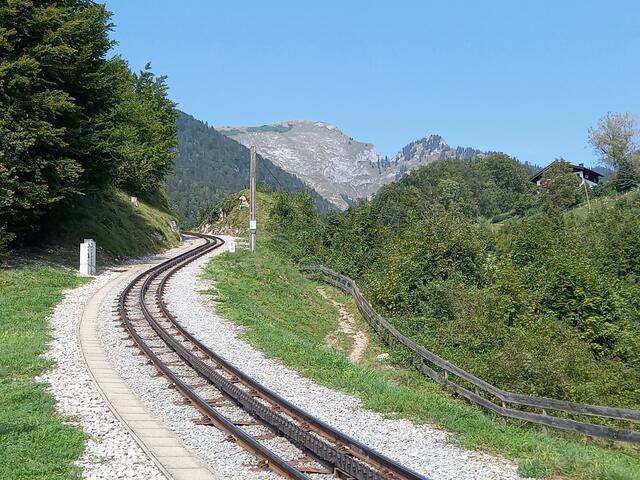 Foto: H.Bachinger 